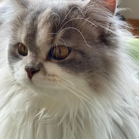 La Maison Cachee Beaune (Cote d'Or)